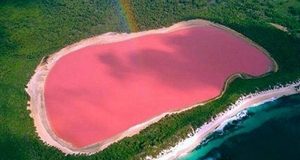 Почему озеро Хиллер в Австралии розовое?